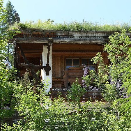 Chalet Alm Planai Шладминг Екстериор снимка